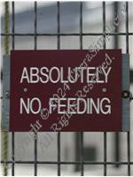No Feeding