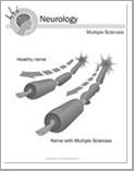 Nerves