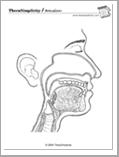 Articulators