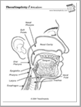 Articulators