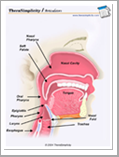 Articulators